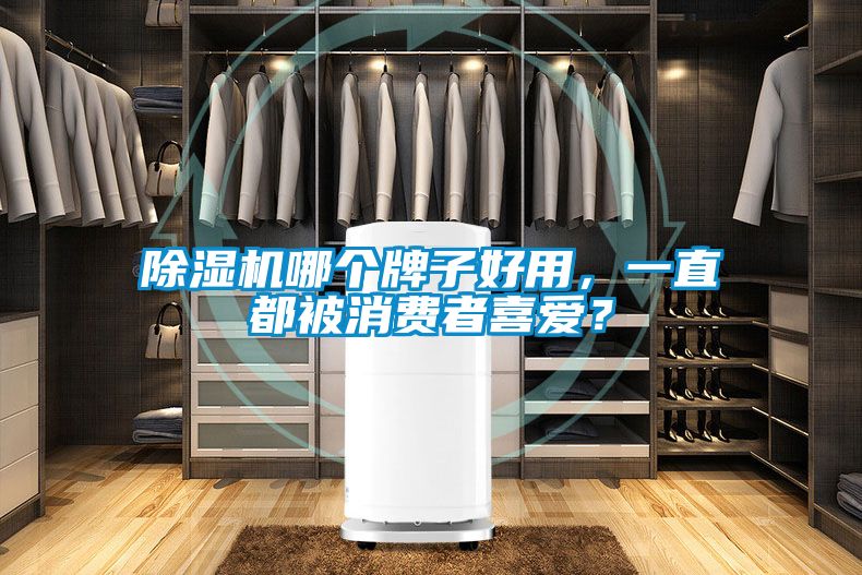 蜜柚直播APP正版下载哪个牌子好用，一直都被消费者喜爱？