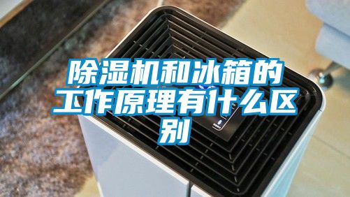 蜜柚直播APP正版下载和冰箱的工作原理有什么区别