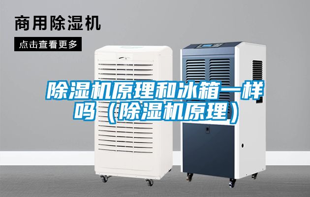 蜜柚直播APP正版下载原理和冰箱一样吗（蜜柚直播APP正版下载原理）