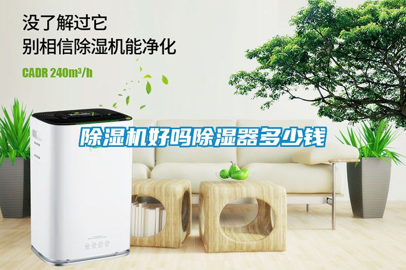 蜜柚直播APP正版下载好吗除湿器多少钱