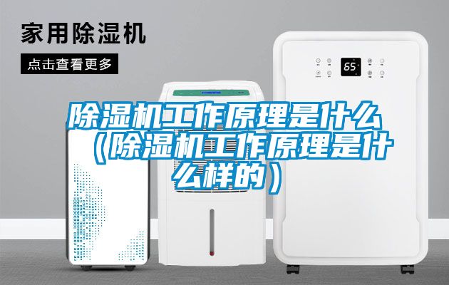 蜜柚直播APP正版下载工作原理是什么（蜜柚直播APP正版下载工作原理是什么样的）