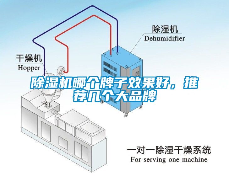 蜜柚直播APP正版下载哪个牌子效果好，推荐几个大品牌