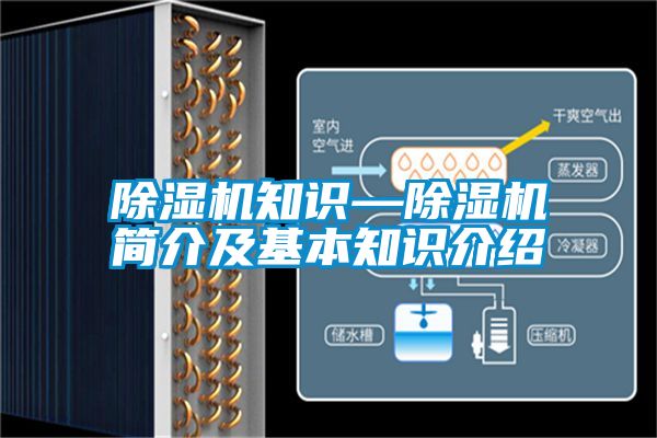 蜜柚直播APP正版下载知识—蜜柚直播APP正版下载简介及基本知识介绍