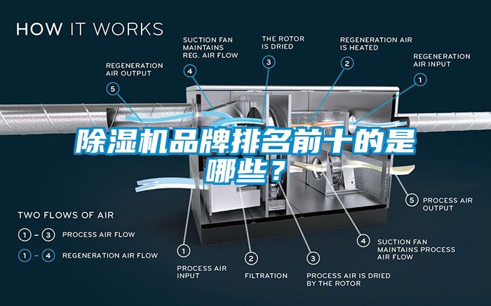 蜜柚直播APP正版下载品牌排名前十的是哪些？