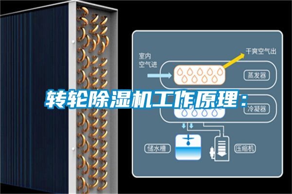 转轮蜜柚直播APP正版下载工作原理：