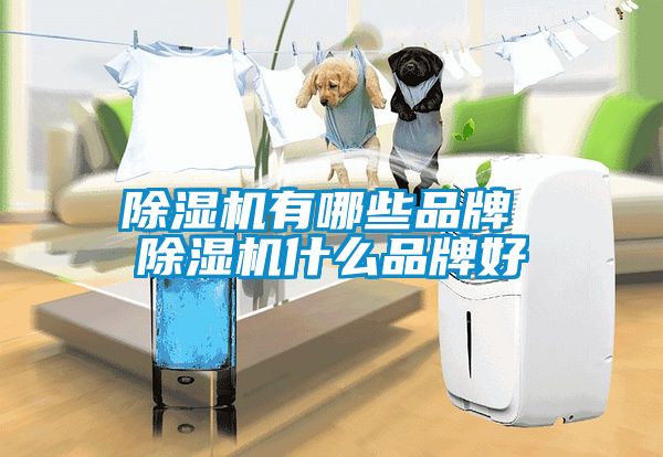 蜜柚直播APP正版下载有哪些品牌 蜜柚直播APP正版下载什么品牌好