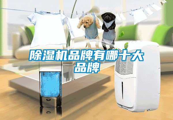 蜜柚直播APP正版下载品牌有哪十大品牌