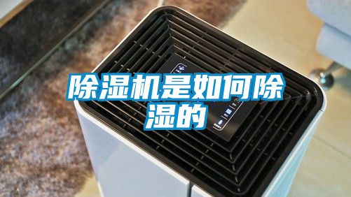 蜜柚直播APP正版下载是如何除湿的