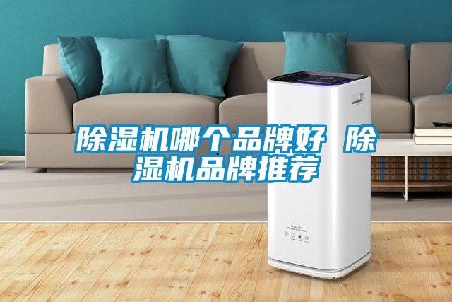 蜜柚直播APP正版下载哪个品牌好 蜜柚直播APP正版下载品牌推荐