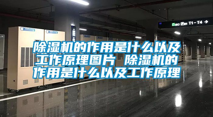 蜜柚直播APP正版下载的作用是什么以及工作原理图片 蜜柚直播APP正版下载的作用是什么以及工作原理