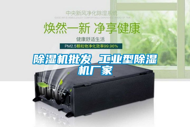 蜜柚直播APP正版下载批发 工业型蜜柚直播APP正版下载厂家