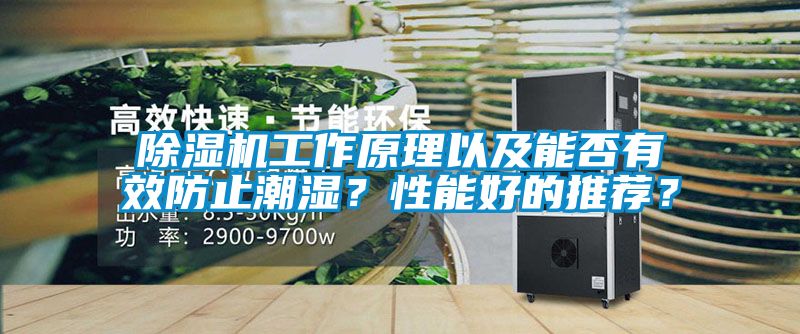 蜜柚直播APP正版下载工作原理以及能否有效防止潮湿？性能好的推荐？