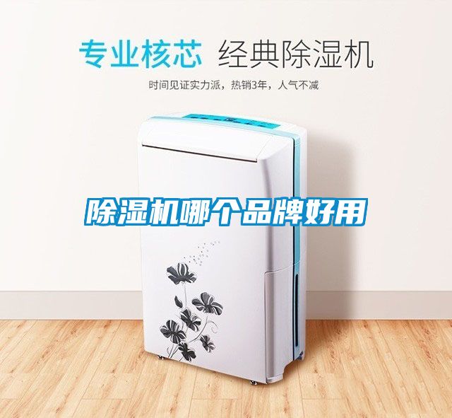 蜜柚直播APP正版下载哪个品牌好用