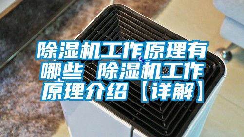 蜜柚直播APP正版下载工作原理有哪些 蜜柚直播APP正版下载工作原理介绍【详解】