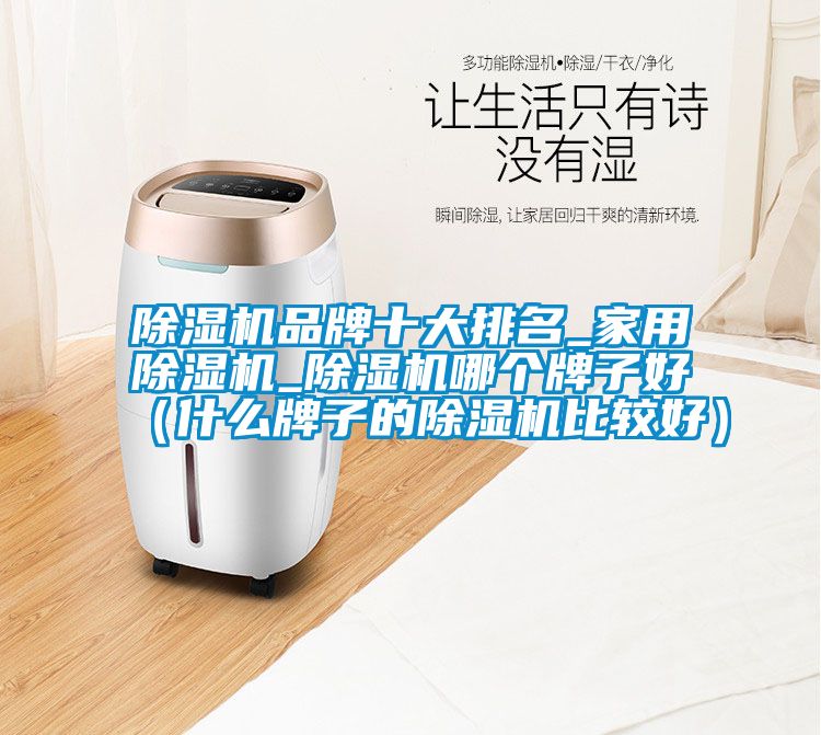 蜜柚直播APP正版下载品牌十大排名_家用蜜柚直播APP正版下载_蜜柚直播APP正版下载哪个牌子好（什么牌子的蜜柚直播APP正版下载比较好）