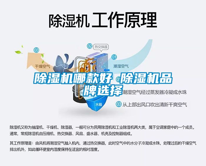 蜜柚直播APP正版下载哪款好 蜜柚直播APP正版下载品牌选择