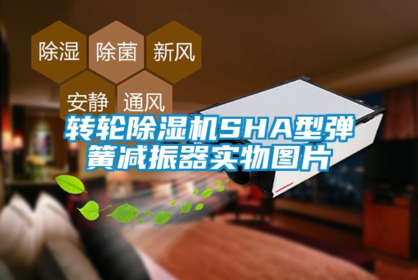 转轮蜜柚直播APP正版下载SHA型弹簧减振器实物图片