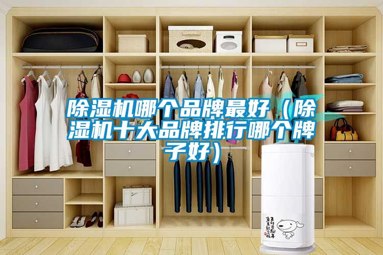 蜜柚直播APP正版下载哪个品牌最好（蜜柚直播APP正版下载十大品牌排行哪个牌子好）