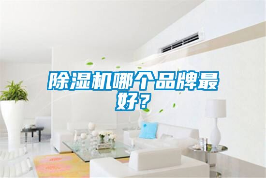 蜜柚直播APP正版下载哪个品牌最好？