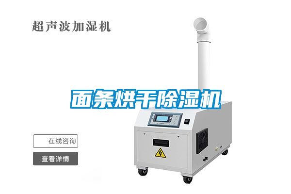 面条烘干蜜柚直播APP正版下载