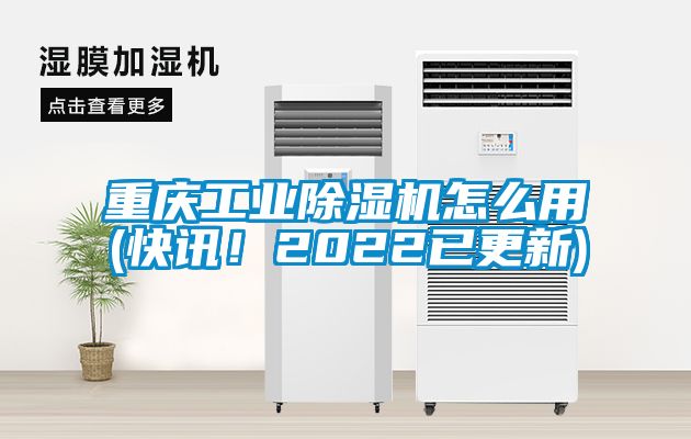 重庆工业蜜柚直播APP正版下载怎么用(快讯！2022已更新)