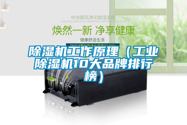 蜜柚直播APP正版下载工作原理（工业蜜柚直播APP正版下载10大品牌排行榜）