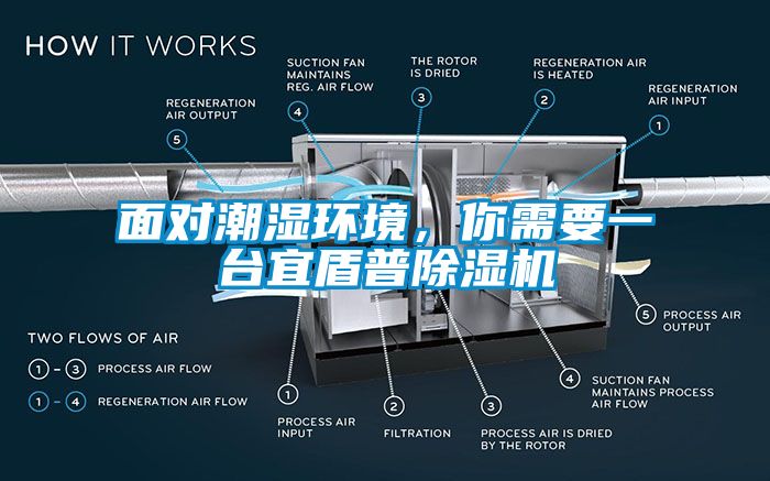 面对潮湿环境，你需要一台宜盾普蜜柚直播APP正版下载