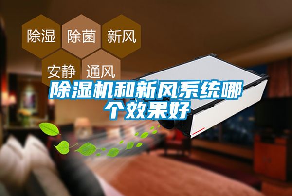 蜜柚直播APP正版下载和新风系统哪个效果好