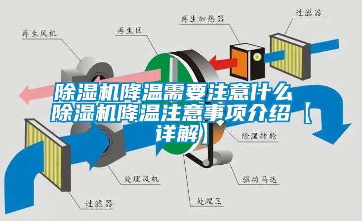 蜜柚直播APP正版下载降温需要注意什么 蜜柚直播APP正版下载降温注意事项介绍【详解】