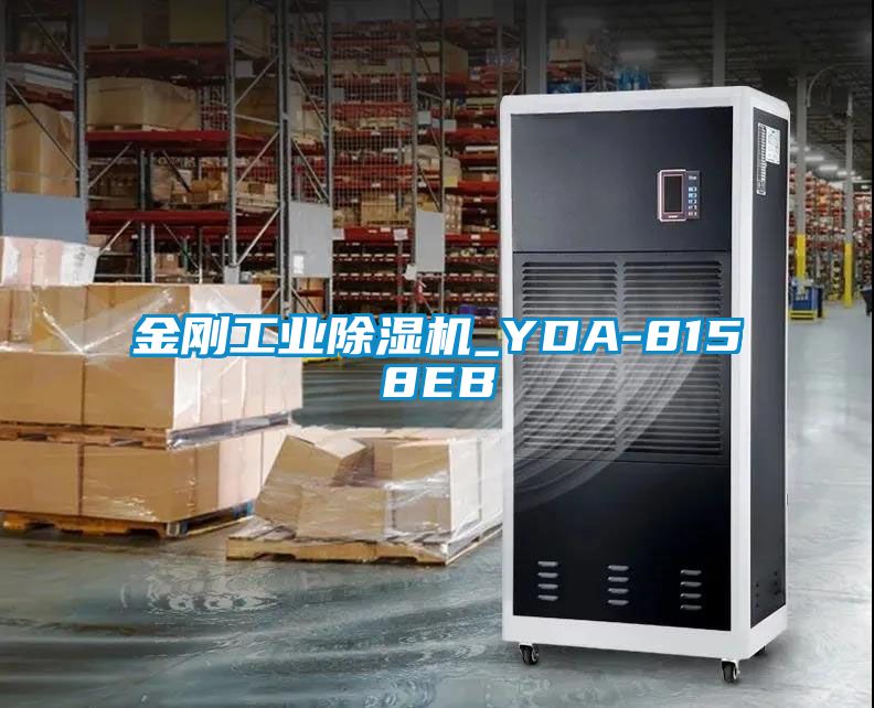 金刚工业蜜柚直播APP正版下载_YDA-8158EB