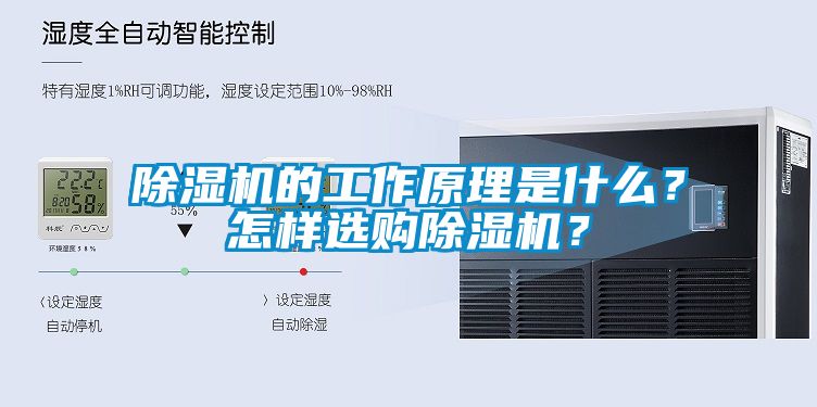 蜜柚直播APP正版下载的工作原理是什么？怎样选购蜜柚直播APP正版下载？