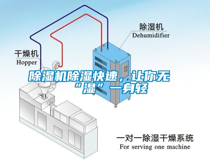 蜜柚直播APP正版下载除湿快速，让你无“湿”一身轻