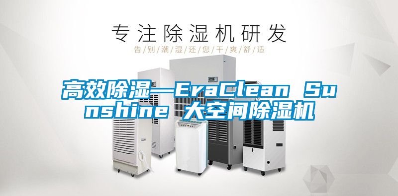 高效除湿—EraClean Sunshine 大空间蜜柚直播APP正版下载