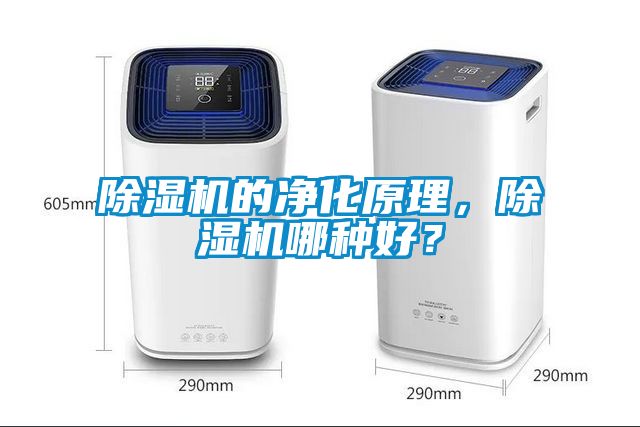 蜜柚直播APP正版下载的净化原理，蜜柚直播APP正版下载哪种好？