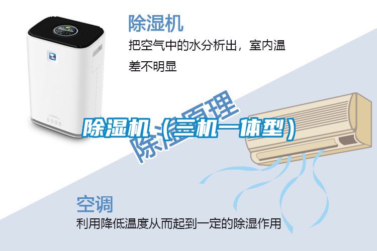 蜜柚直播APP正版下载（三机一体型）