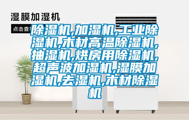 蜜柚直播APP正版下载,加湿机,工业蜜柚直播APP正版下载,木材高温蜜柚直播APP正版下载,抽湿机,烘房用蜜柚直播APP正版下载,超声波加湿机,湿膜加湿机,去湿机,木材蜜柚直播APP正版下载