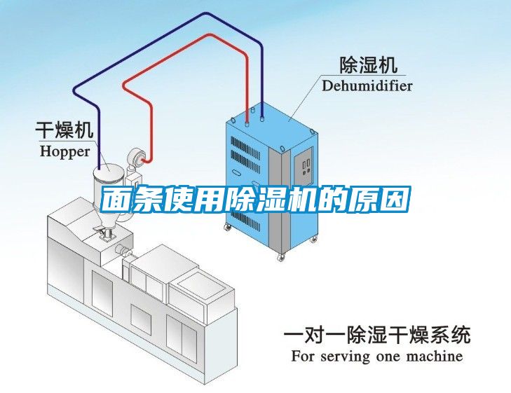 面条使用蜜柚直播APP正版下载的原因