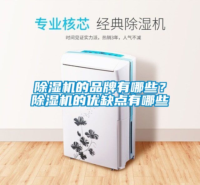 蜜柚直播APP正版下载的品牌有哪些？蜜柚直播APP正版下载的优缺点有哪些